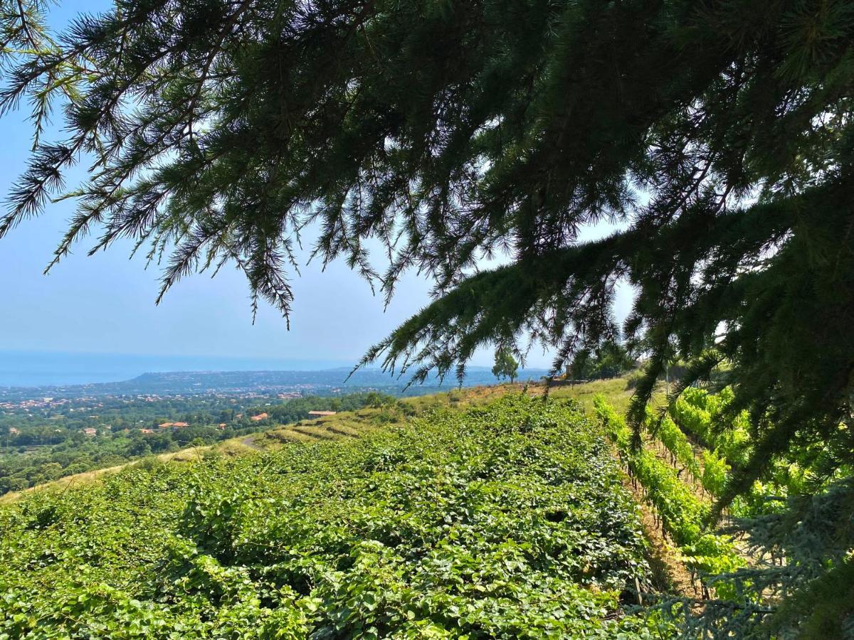 Tenuta Kiwi Dell'Etna Milo Exterior foto